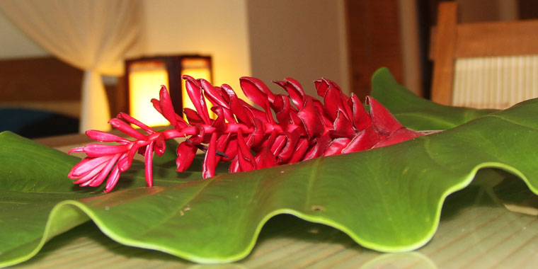 Red ginger atop a banana leaf in guest room of Bayside Palau B&B