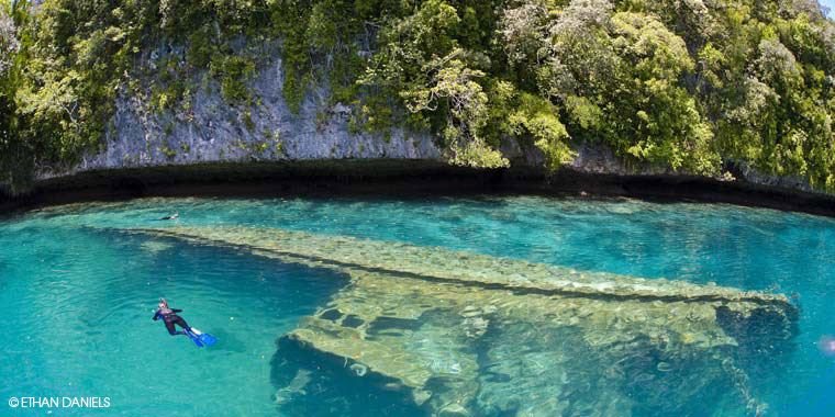 Bayside Palau Bed & Breakfast: World War II wrecks can often be seen while snorkeling in Palau. Launch a kayak or paddleboard from our dock to explore Nikko Bay and its own WWII wrecks.